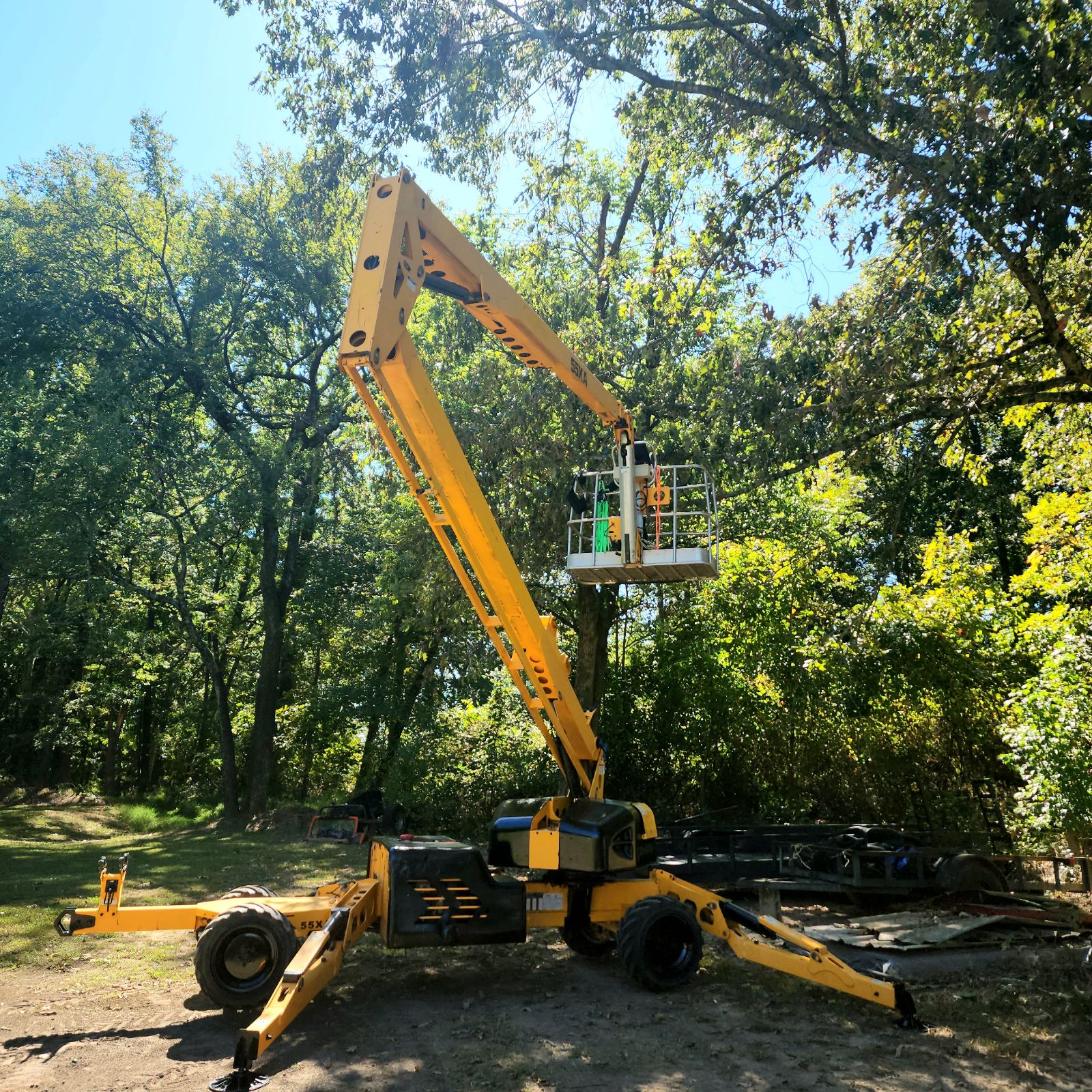 Tree Trimming